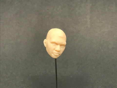 H0602 Custom Head Cast