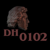 DH0102