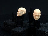 H0407 Custom Head Cast