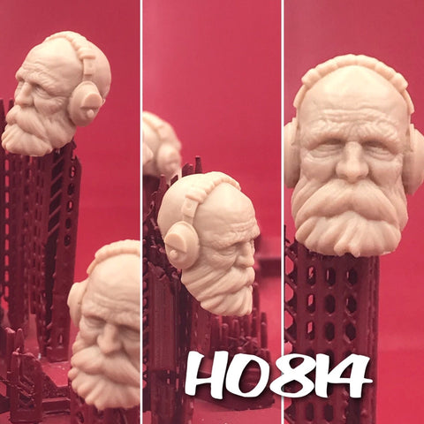 H0814 Custom Head Cast