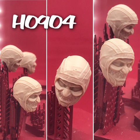 H0904 Custom Head Cast